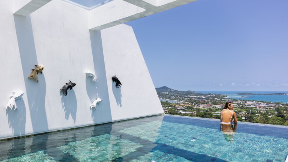 Golden Lotus - The Blossom Villa - View from the pool